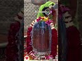 ॐ नमः शिवाय ❤️