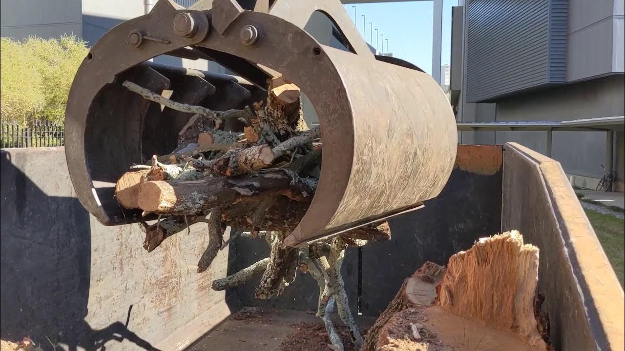 YEAH TREES!!! YouTube