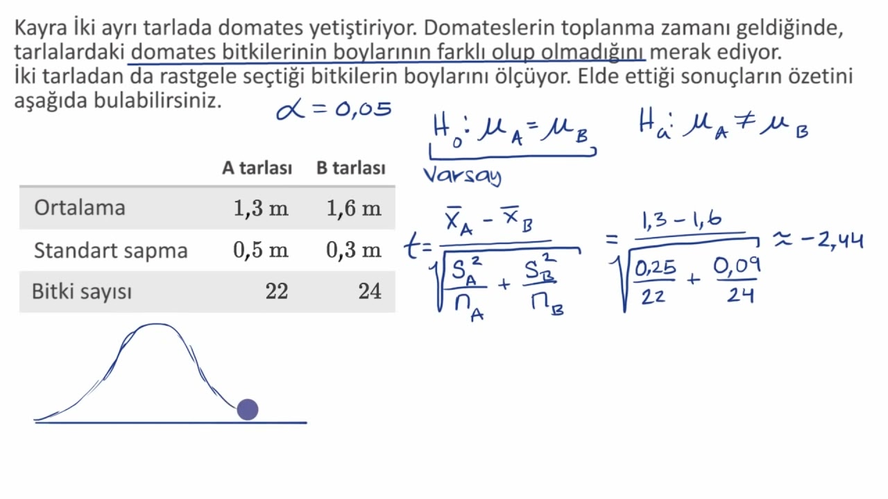 Ortalamalar Farkı İçin İki Örneklemli t-testi (İstatistik)
