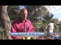 Keeping animals out of the garden and raised beds