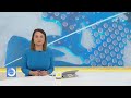 Žinios | 2026-06-11