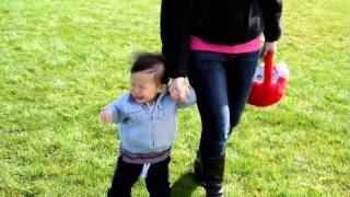 Alex Lam Egg Hunt II