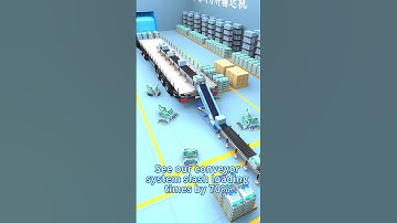 Bag Loading Conveyor System - Naili Conveyor