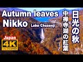 4K Autumn Fall in Nikko 日光の紅葉 奥日光 観光 旅行 中禅寺湖 華厳の滝 日本の紅葉 JAPAN 日光観光 紅葉の名所  leaves Lake ChuzenjI 旅行