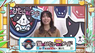 TVガイド レコメンドチャンネル