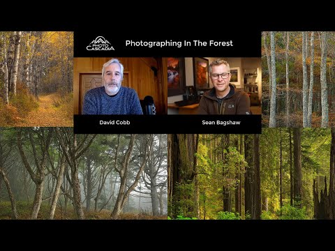 Photographing In Forests - Wide Angle Episode 2