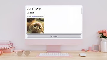 Learn HTML by Building a Cat Photo App - Step 67