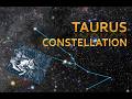 Taurus Constellation