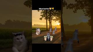 Download Lagu ketika lagunya habis💀🗿#catmemes #tikus #berdasi #funny #sound #shortsviral #lawak #catlovers MP3 Download Lagu ketika lagunya habis💀🗿#catmemes #tikus #berdasi #funny #sound #shortsviral #lawak #catlovers MP3