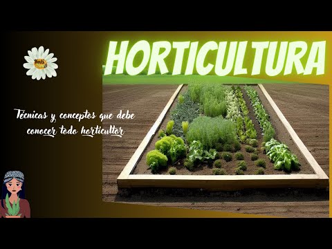 Vídeo: Jardineria de parcel·les: avantatges dels jardins comunitaris