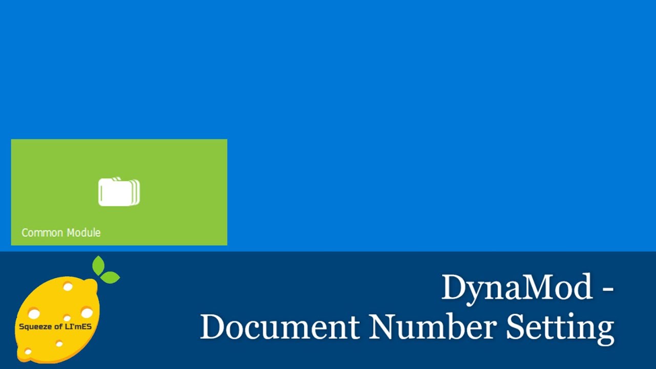 DynaMod - Document Number Setting - YouTube
