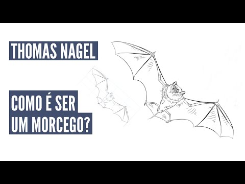 Vídeo: Como é ser um morcego Nagel?