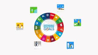 UN Partner Portal   CSOs Overview