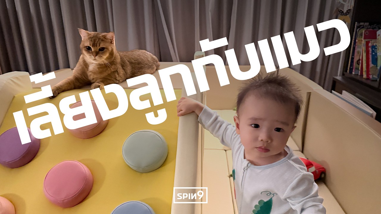 แชร์ประสบการณ์ เลี้ยงลูกกับแมว