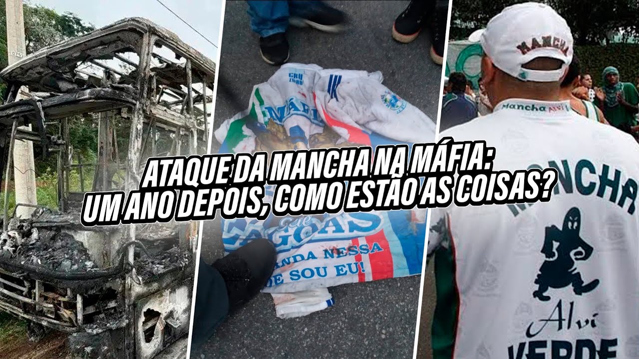 GUERRA ENTRE MANCHA VERDE X MÁFIA AZUL: UM ANO DEPOIS