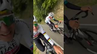 😇 DEL TORO & POGAČAR #pogacar #viral #cycling #bike #sports #uae #bikelife #training #viralshort