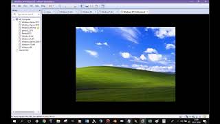 Windows XP on very low amounts of RAM