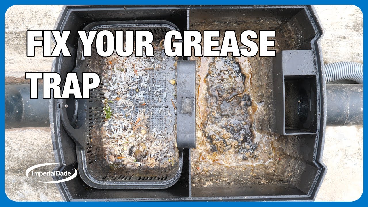 Grease Trap Backing Up Causes: Solutions & Prevention