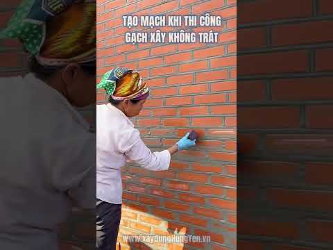 Video: Rêu có mô mạch không?