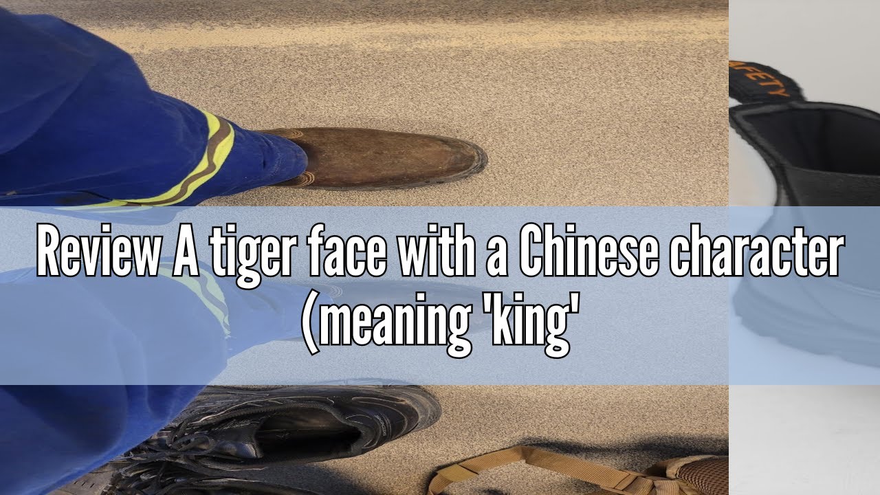 Review A tiger face with a Chinese character (meaning 'king') on theforehead Tiger Safety Men's CSA