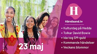 Härnösand.tv - 23 maj 2024