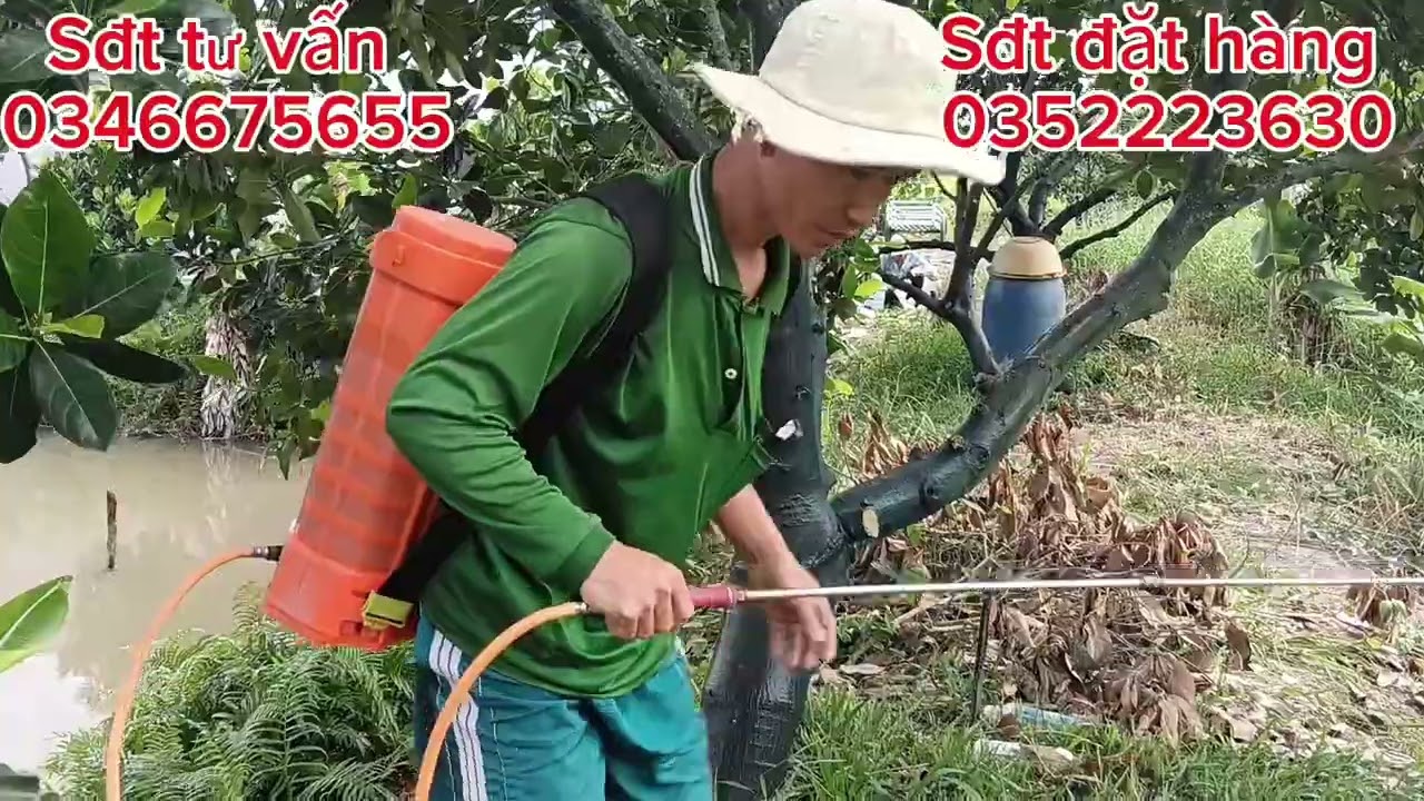 Chia sẻ cách xịt phân hữu cơ kích bông lớn trái bán tháng 2.3 nha cả nhà 