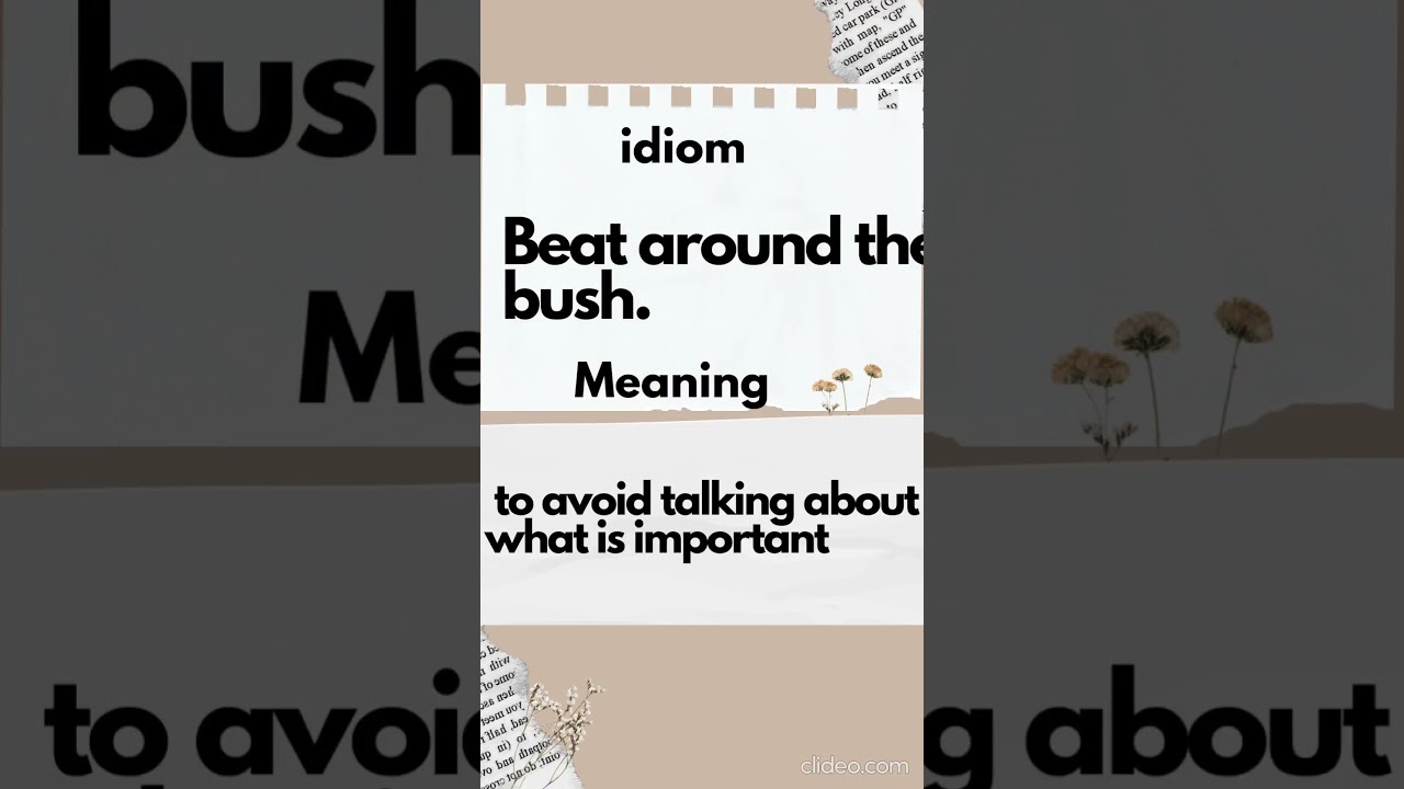 Beat around the bush 