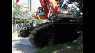 MVI 1236