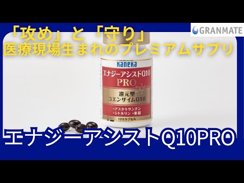 エナジーアシストQ10PROの製品紹介 - YouTube
