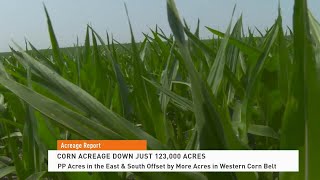 Reaction to USDA's Latest Acreage and Grain Stocks Reports