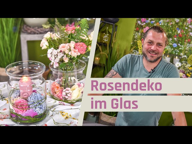 geschirr billig online kaufen » Porzellan Stil:Regal