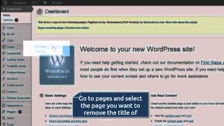 How to remove title of your custom pages