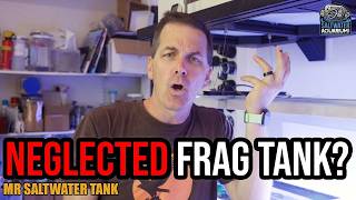 I "Neglected" My Frag Tank for 3 Years: Here’s What Actually Happened | Mr. Saltwater Tank