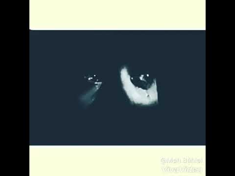 مين الي عايش بهلوان حالت واتس 2019