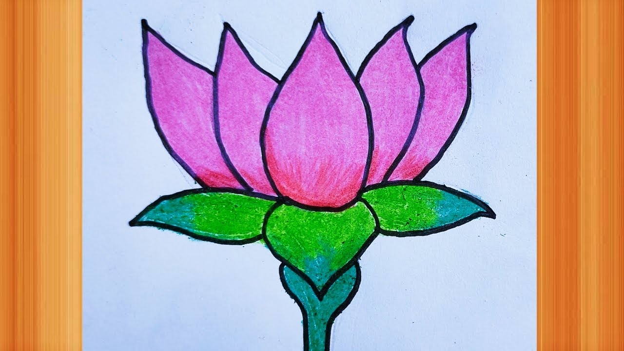 How to draw lotus flower | Kamal ka phool kaise banaen | step by step | by  juhi Art - YouTube