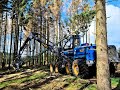 🌲*THE biggest Swede* • Rottne H21-D 8WD • Holz-Winter • Biggest Harvester • Harvesteraction • #1 🌲