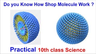 10th class science cleaning capacity of soap in hard and soft water screenshot 5