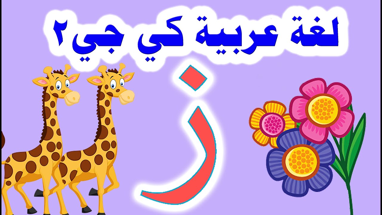 حرف الزاي عربي كي جي2 الترم الأول وحل تدريبات الكتاب المدرسي كاملة دليل ولي الأمر