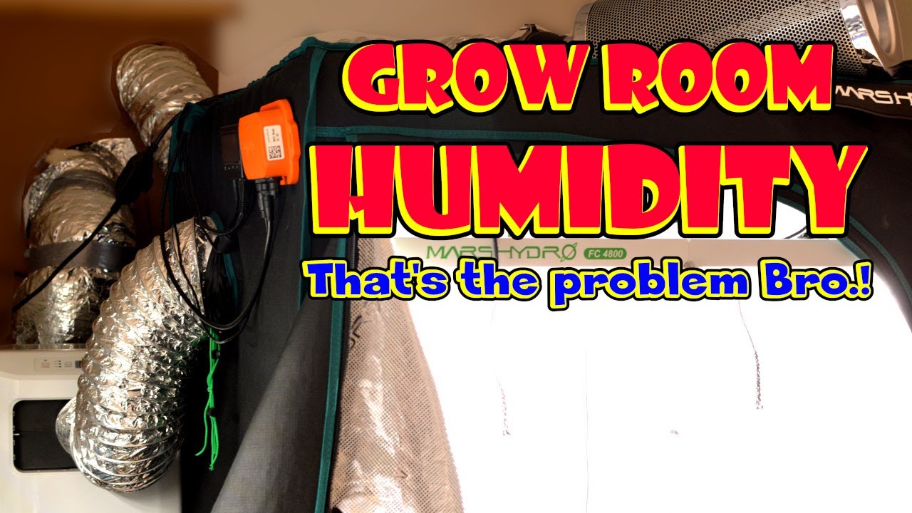 Humidity is the reason your plants are messed up! find out why.  MarsHydro FC4800 EVO