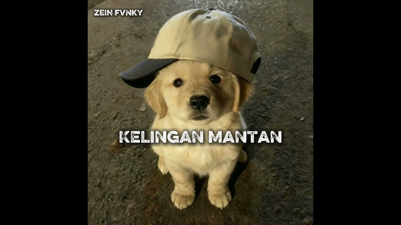 Kelingan Mantan