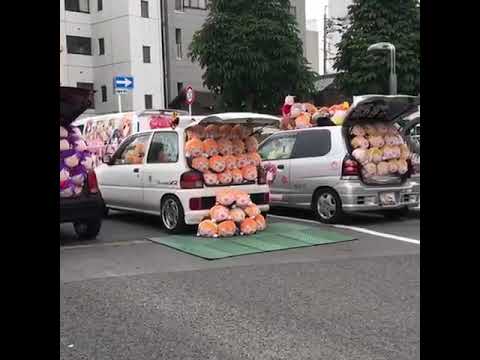 Pillow Roundabout
