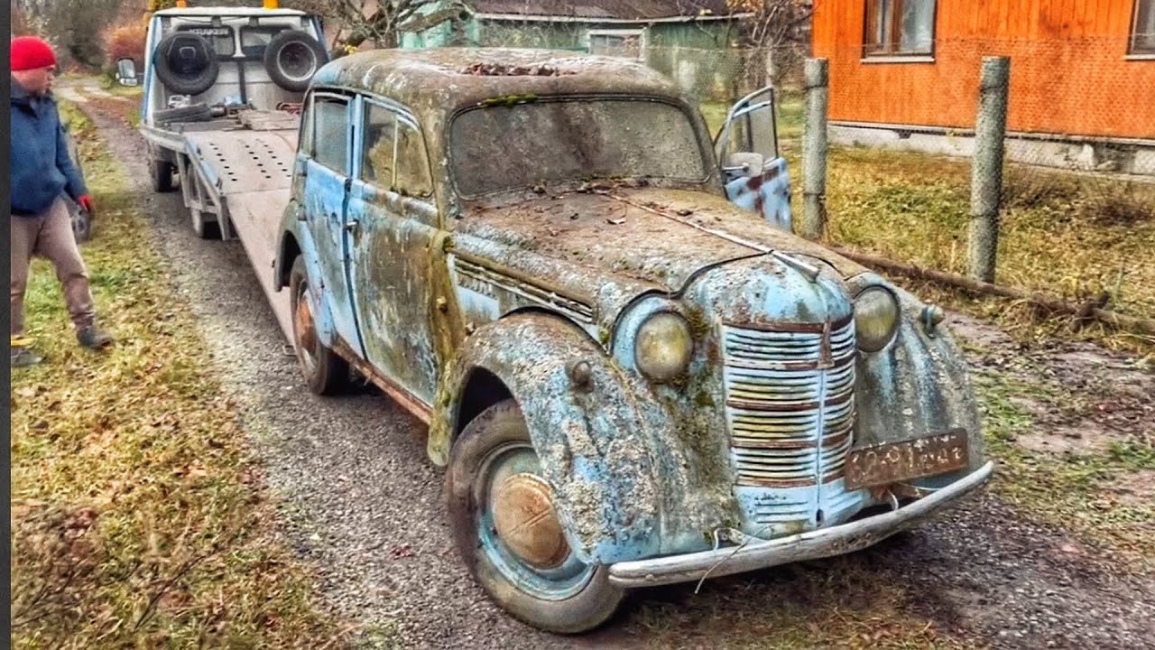 Найди Слона! 30 лет в огороде!