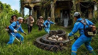 72 Hours of Horror: Workers Discover a Giant Python Nest and Ghost at an Abandoned Mansion!