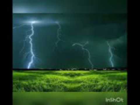 تلاوة سورة الملك بصوت القارئ أبي عبد الله توفيق الخروبي