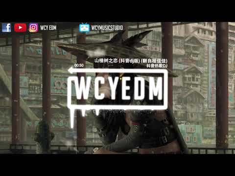 抖音热歌DJ - 山楂树之恋 (抖音dj版) (翻自 程佳佳)