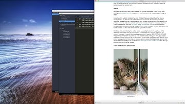 Marked 2 Long-Form Writing Features