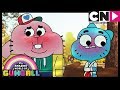 Gumball | Nicole Meets Richard | The Choices | What Could've Been | Cartoon Network