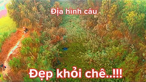 Câu cá rô,cá thác lác hôm nay được cái giật sướng tay.địa hình đẹp khỏi chê.