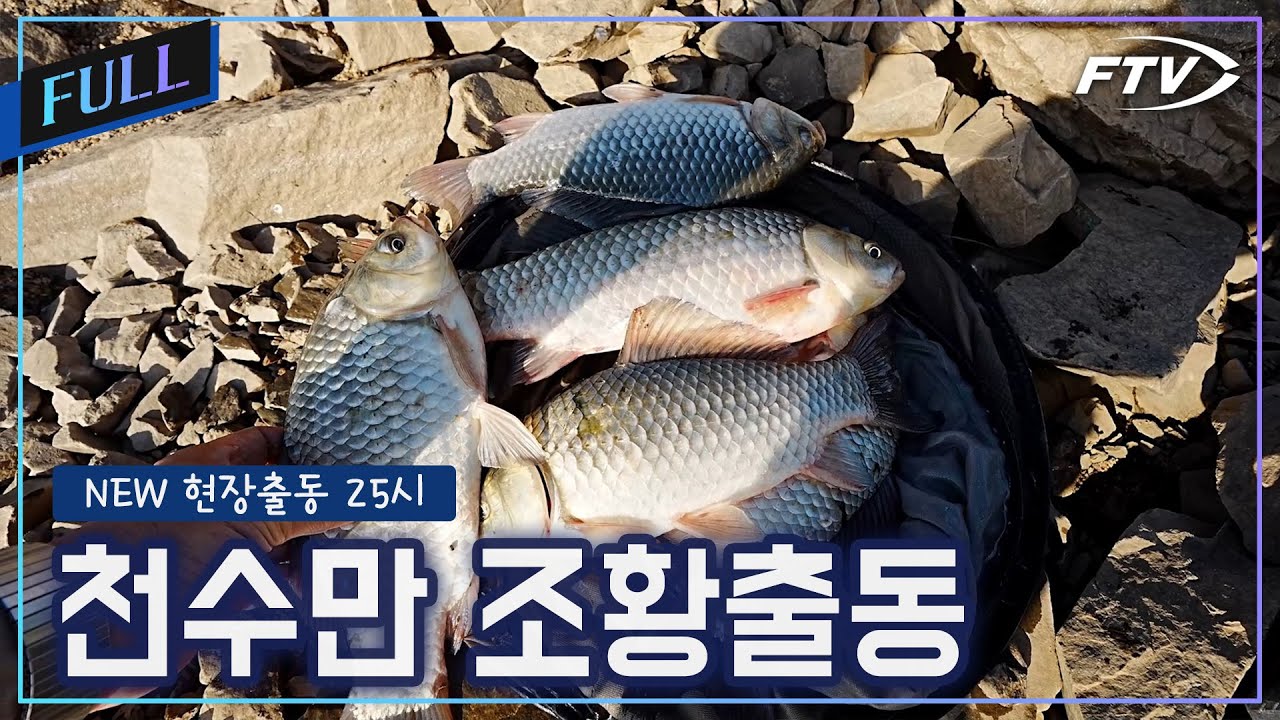 천수만권 조황출동[NEW현장출동25시/121회]