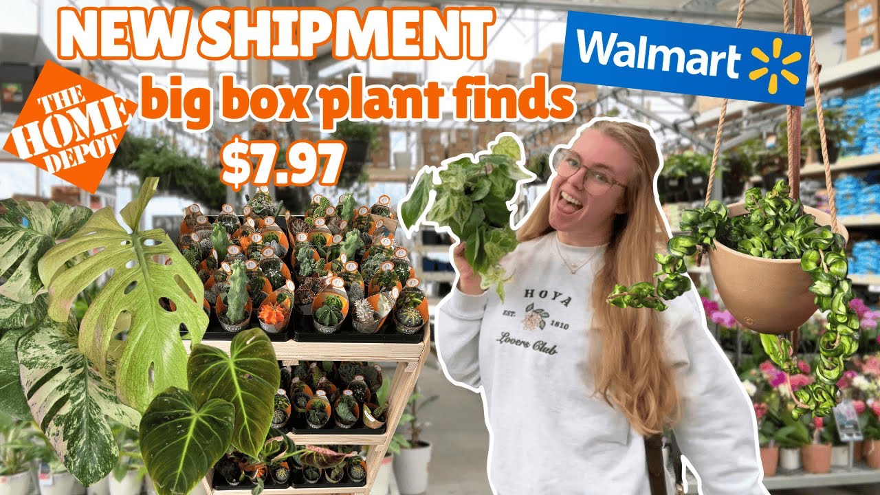 🥳 walmart got new plants 🤩 $7 plant finds and fails ☠️